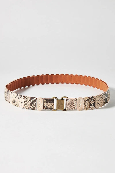 Anthropologie Tabitha Stretch Belt In Assorted