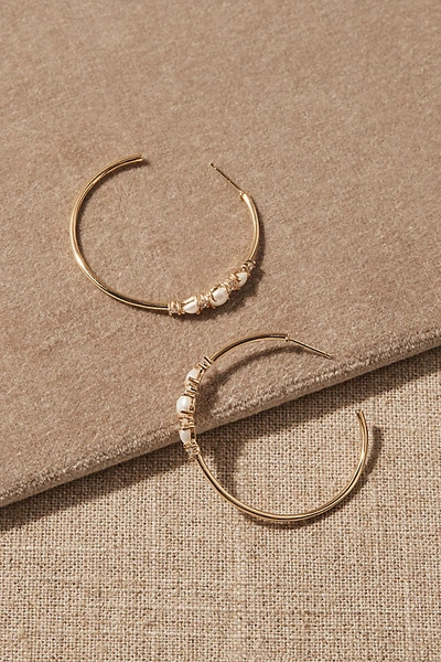 Tai Hawke Earrings In Gold