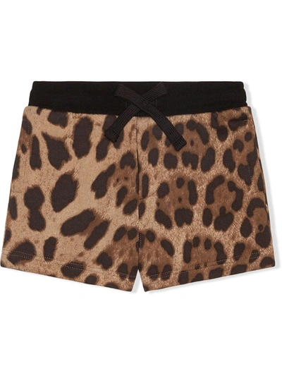 Dolce & Gabbana Babies' Leopard-print Shorts In Brown