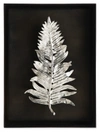 Michael Aram Special Editions Fern Shadow Box