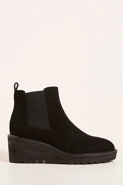 Cecelia New York Chelsea Boots In Black