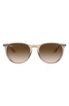 Ray Ban Ray-ban Erika 54mm Gradient Round Sunglasses In Matte Gold