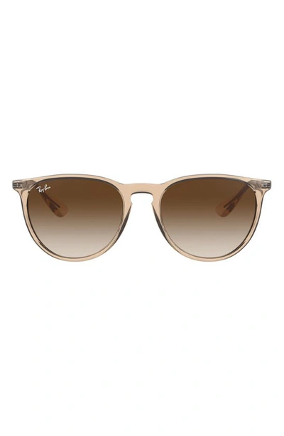 Ray Ban Erika Classic 54mm Sunglasses In Brown/ Brown Gradient