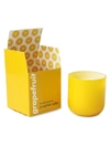 Jonathan Adler Pop Grapefruit Scented Candle