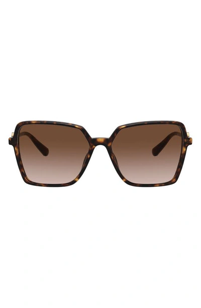 Versace 58mm Square Sunglasses In Havana/ Brown Gradient