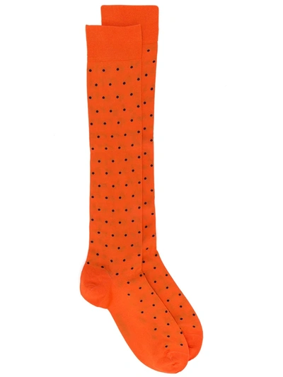 Marcoliani Knee-length Socks In Orange