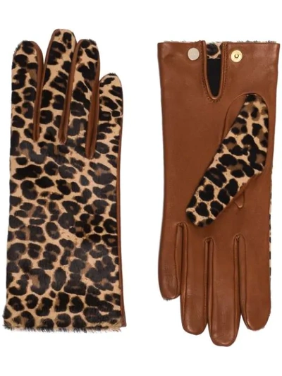 Agnelle Brown Chloé Leopard Print Gloves