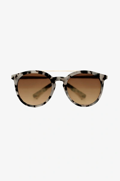 Anine Bing Berlin Sunglasses - Tortoise | ModeSens