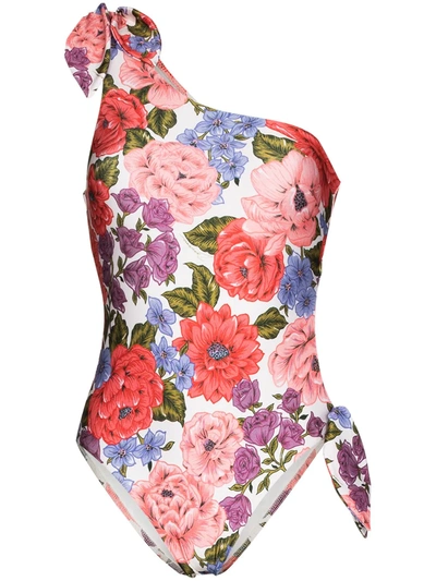Zimmermann Poppy One-shoulder Cutout Floral-print Swimsuit In Pink/red