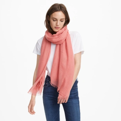 Club Monaco Senella Cashmere Scarf In Pink ModeSens