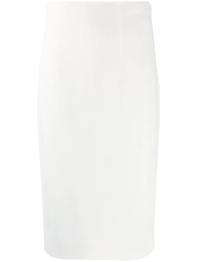 Gianluca Capannolo Classic Pencil Skirt In Neutrals