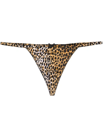 Dolce & Gabbana Leopard-print Thong In Brown