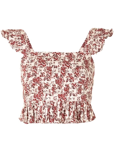 Sir Flore Ruffle Crop Top In Red