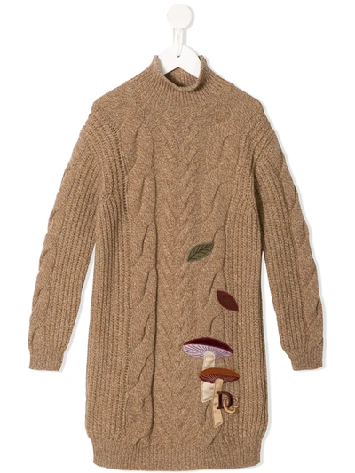 Dolce & Gabbana Kids' Knit Turtle-neck Dress With Mushroom Patch In Brown