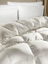 Downtown Company Hermitage Goose Down Filled Winter Comforter In Champagne