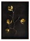 Michael Aram Wild Pod Shadow Box