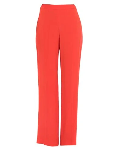 Clips Pants In Red