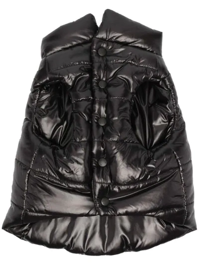 Moncler Logo Patch Dog Vest In Black