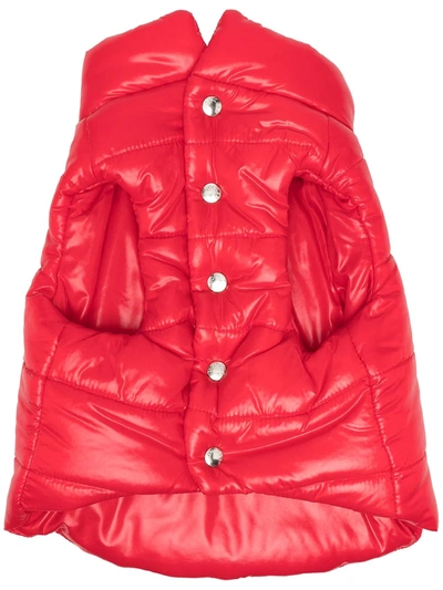 Moncler Padded Dog's Vest In Red