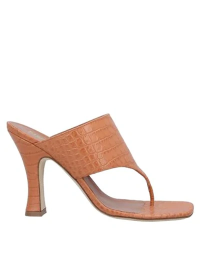 Paris Texas Toe Strap Sandals In Brown