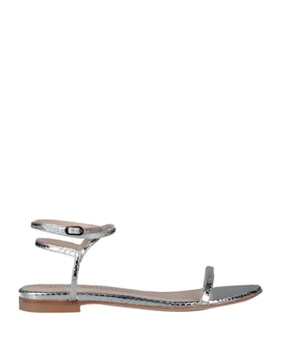 Stuart Weitzman Sandals In Silver