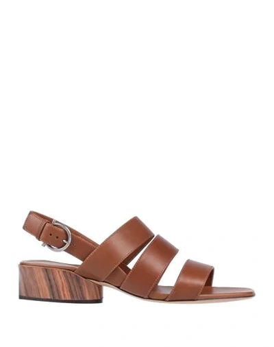 Ferragamo Sandals In Brown