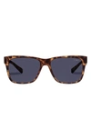 Le Specs Systematci 55mm Sunglasses In Matte Tort