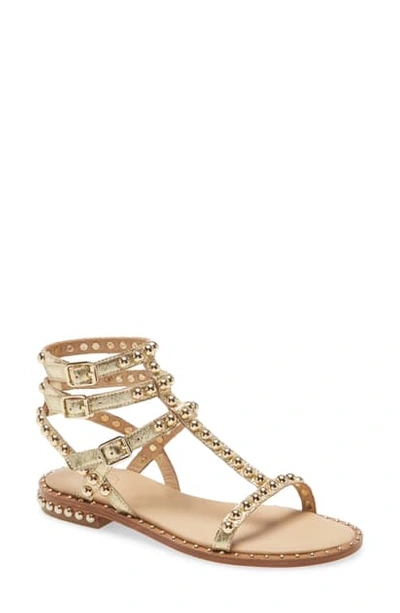Ash Play Studded Sandal In Ariel
