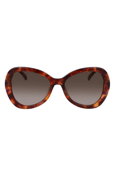Mcm 54mm Gradient Butterfly Sunglasses In Red Havana/ Brown Gradient