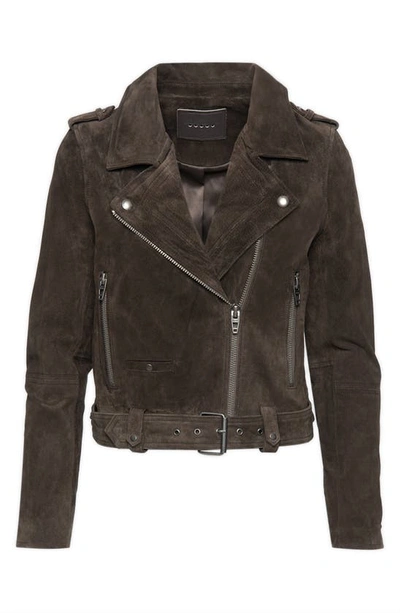 Blanknyc Suede Moto Jacket In Shadow Gray