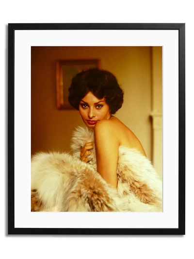 Sonic Editions Loren In Fur Framed Photo