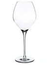 Nude Glass Fantasy 2-piece White Wine Glass Set In Clear
