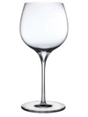 Nude Glass Dimple 2-piece Rich White Wine Glass Set