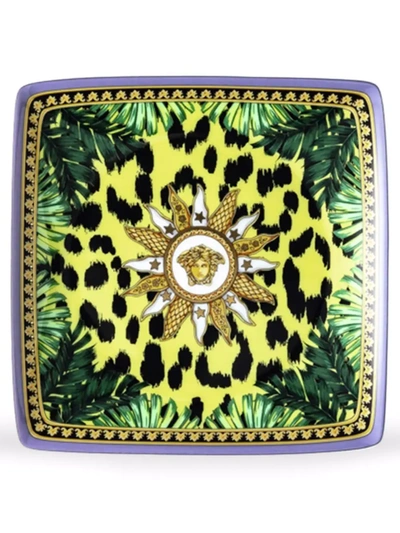 Versace Animalier Porcelain Canape Dish In Grün