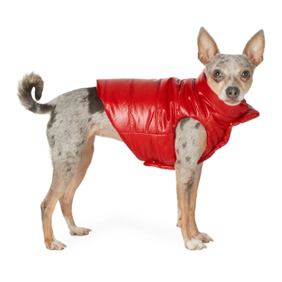 Moncler Genius Red Poldo Dog Couture Edition Mondog Jacket In 455 Red