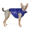 Moncler Genius Blue Poldo Dog Couture Edition Mondog Jacket In Turquoise