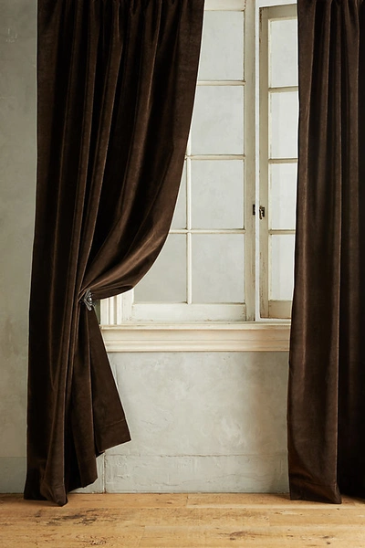 Anthropologie Matte Velvet Curtain By  In Brown Size 50" X 96" In Brown