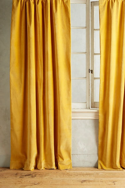 Anthropologie Matte Velvet Curtain By  In Gold Size 50" X 96"