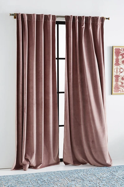 Anthropologie Velvet Louise Curtain By  In Purple Size 50x84