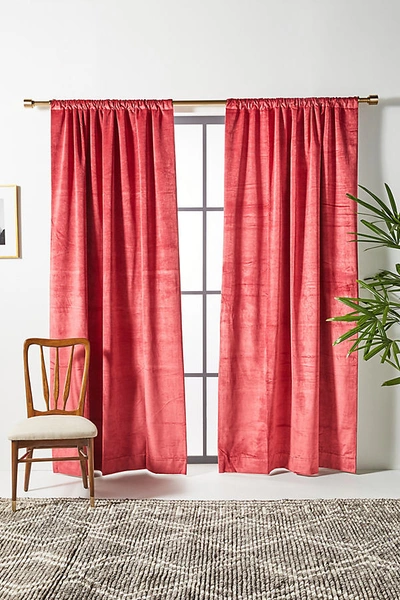 Anthropologie Velvet Slub Curtain By  In Purple Size 108" In Purple