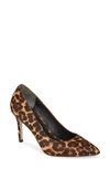 Charles David Vibe Pointed Toe Pump In Leopard Print Leather