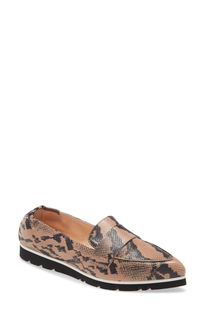 Agl Attilio Giusti Leombruni Micro Leopard Print Pointed Toe Loafer In Brown Snake Print