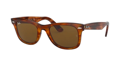 Ray Ban Ray In Brown Classic B-15