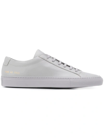 Common Projects Achilles Low Sneakers In Grey