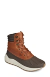 Sperry Freeroam Hiker Boot In Dark Brown/ Tan