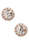 Nordstrom Pave Cubic Zirconia Stud Earrings In Rose Gold