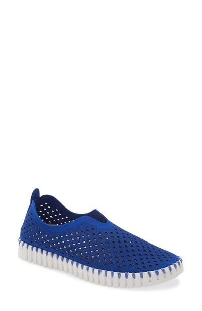 Ilse Jacobsen Tulip 139 Perforated Slip-on Sneaker In Blue Web