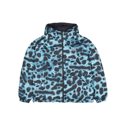 Lacoste X National Geographic Blouson (blue Frog)