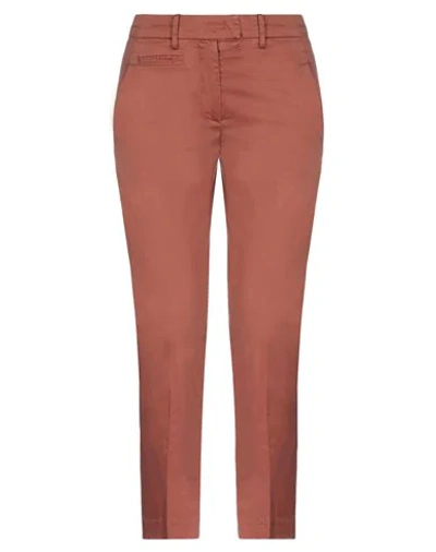 Dondup Pants In Brown