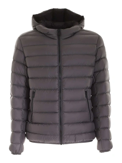 Colmar Originals Quilted Nylon Hooded Puffer Jacket In Grey